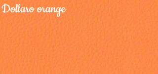 Цвет экокожи Dollaro Orange для медицинского дивана для ожидания со спинкой Д06 Инмедикс, 3-х местного